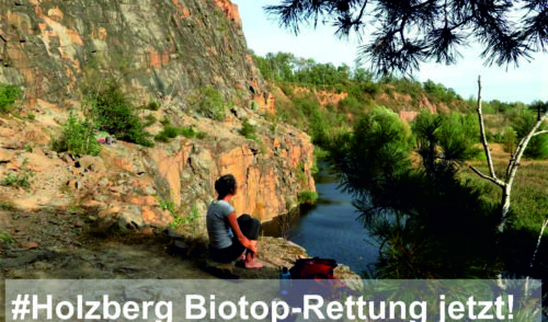 Artikelbild zu Artikel Holzberg Biotop-Rettung jetzt