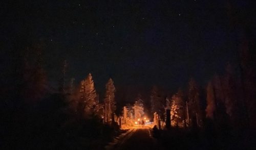 Artikelbild zu Artikel 2025-12-20 Nacht- und Glühweinwanderung