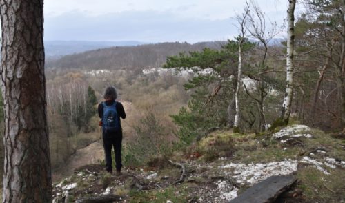 Artikelbild zu Artikel April 2025: Wanderung Südharzer Karstlandschaft