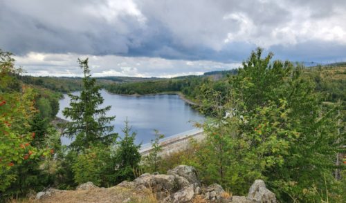 Artikelbild zu Artikel 2025-11-30: Harzwanderung um Wernigerode