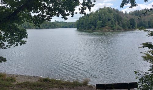 Artikelbild zu Artikel 2026-Jan-06: Traditionelle Neujahrswanderung