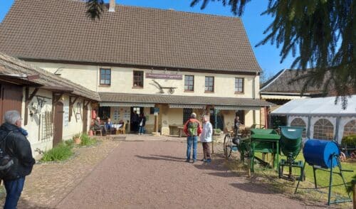 Artikelbild zu Artikel Juli 2027: Sommerwanderung Saalkreis