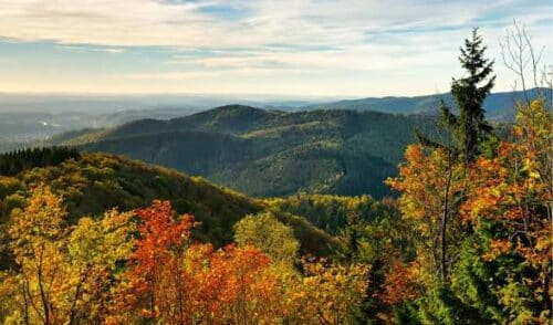 Artikelbild zu Artikel Okt. 2026: Herbstliche Wanderung Thale – Stecklenberg und zurück